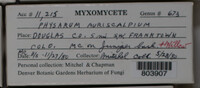 Image Associated With the Occurence